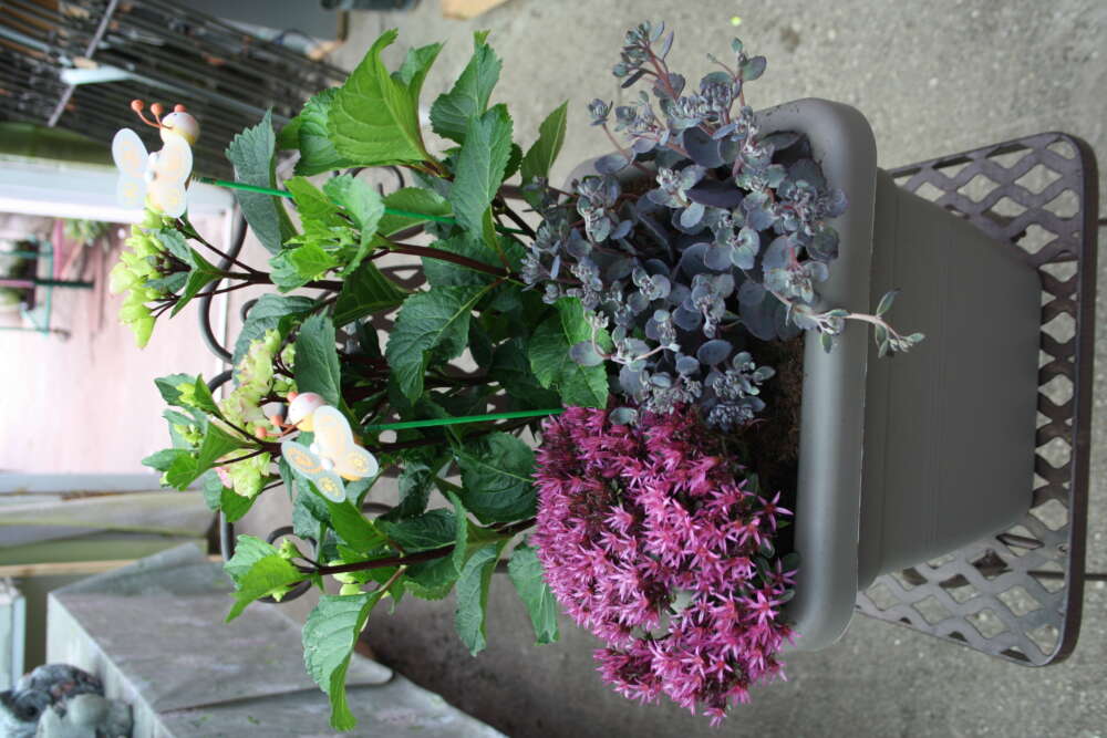 Produkt1Image #8